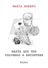 HASTA QUE NOS VOLVAMOS A ENCONTRAR
