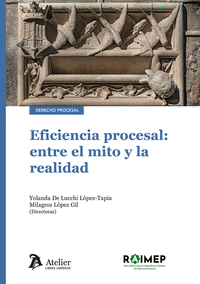 EFICIENCIA PROCESAL ENTRE EL MITO Y LA REALIDAD