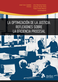 OPTIMACION DE LA JUSTICIA: REFLEXIONES SOBRE LA EFICIENCIA PROCESAL