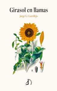 GIRASOL EN LLAMAS