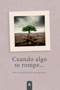 CUANDO ALGO SE ROMPE...