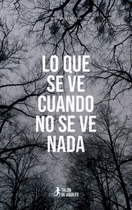 LO QUE SE VE CUANDO NO SE VE NADA
