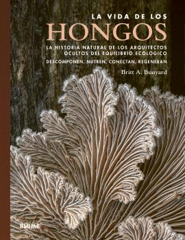 VIDA DE LOS HONGOS