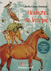 HECHIZOS DE BOSQUE