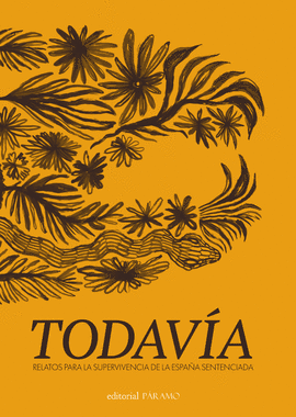 TODAV�A