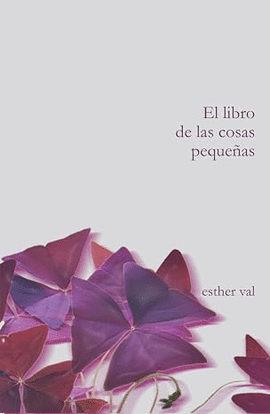 EL LIBRO DE LAS COSAS PEQUE�AS